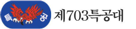  703Ư